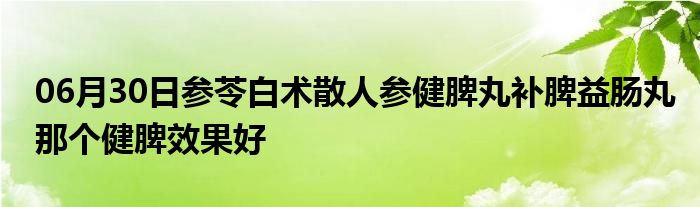 06月30日参苓白术散人参健脾丸补脾益肠丸那个健脾效果好