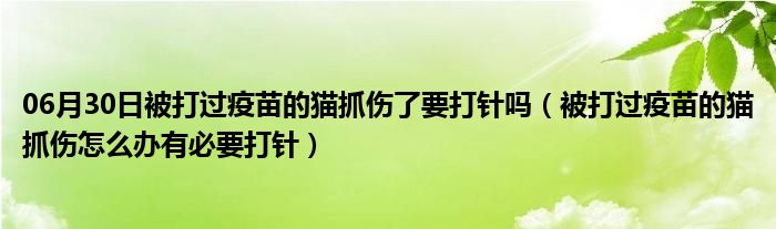 06月30日被打过疫苗的猫抓伤了要打针吗（被打过疫苗的猫抓伤怎么办有必要打针）