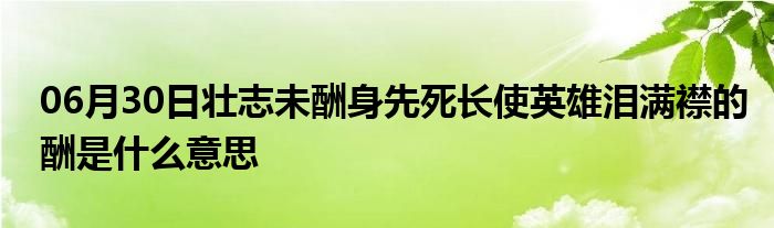 06月30日壮志未酬身先死长使英雄泪满襟的酬是什么意思