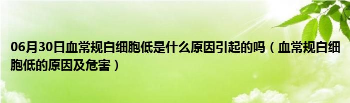 06月30日血常规白细胞低是什么原因引起的吗（血常规白细胞低的原因及危害）