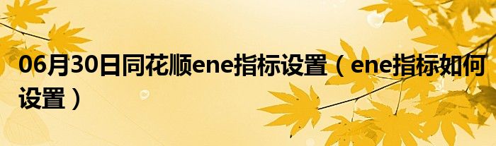 06月30日同花顺ene指标设置（ene指标如何设置）