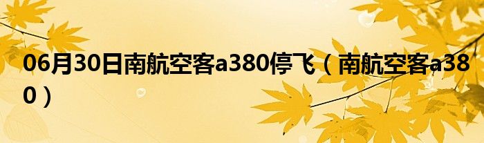 06月30日南航空客a380停飞（南航空客a380）