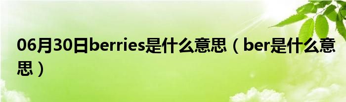 06月30日berries是什么意思（ber是什么意思）