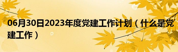 06月30日2023年度党建工作计划（什么是党建工作）