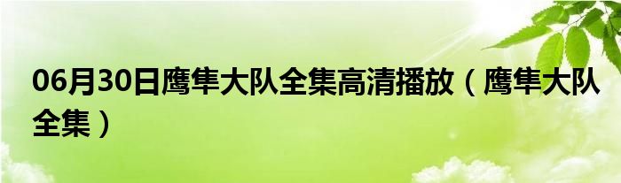 06月30日鹰隼大队全集高清播放（鹰隼大队全集）