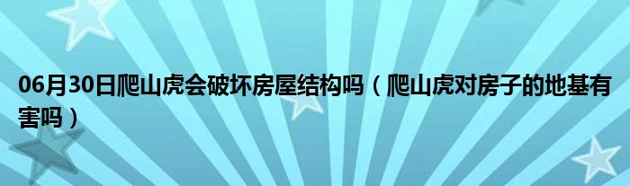 06月30日爬山虎会破坏房屋结构吗（爬山虎对房子的地基有害吗）