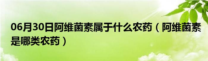 06月30日阿维菌素属于什么农药（阿维菌素是哪类农药）