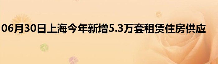 06月30日上海今年新增5.3万套租赁住房供应