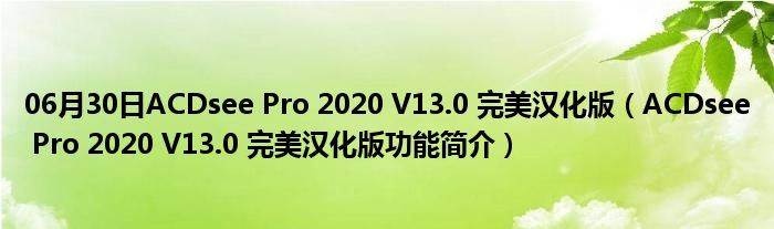 06月30日ACDsee Pro 2020 V13.0 完美汉化版（ACDsee Pro 2020 V13.0 完美汉化版功能简介）