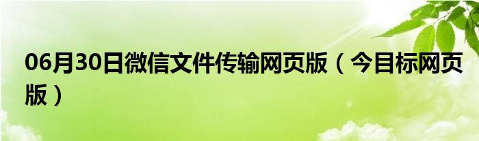 06月30日微信文件传输网页版（今目标网页版）