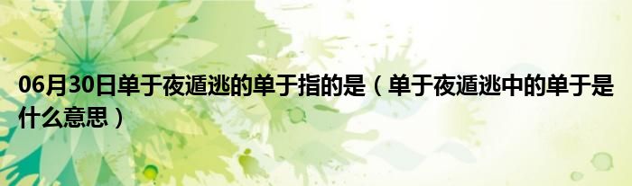 06月30日单于夜遁逃的单于指的是（单于夜遁逃中的单于是什么意思）