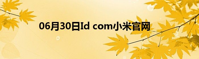 06月30日Id com小米官网