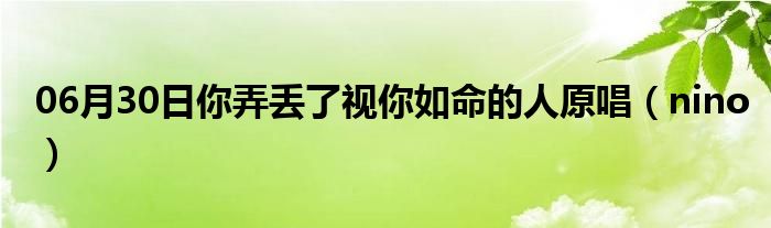 06月30日你弄丢了视你如命的人原唱（nino）