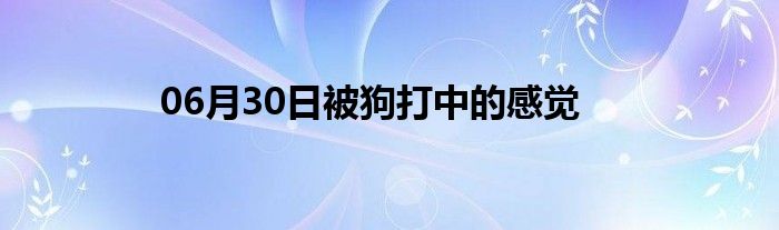 06月30日被狗打中的感觉