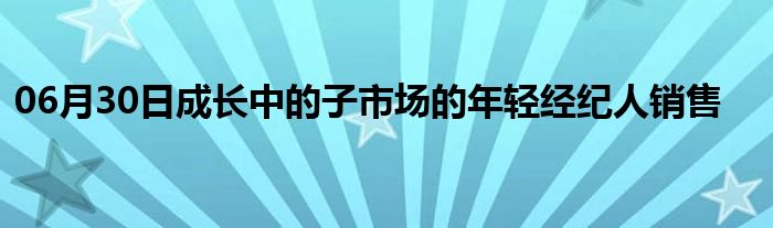 06月30日成长中的子市场的年轻经纪人销售