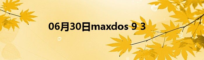 06月30日maxdos 9 3