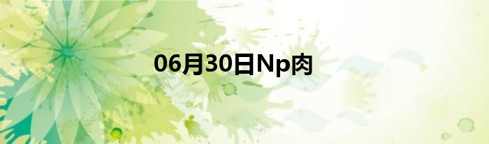 06月30日Np肉