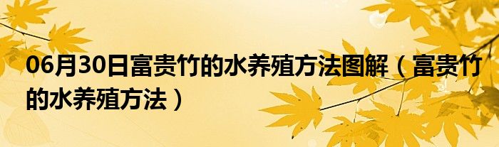 06月30日富贵竹的水养殖方法图解（富贵竹的水养殖方法）