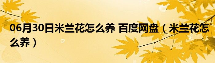 06月30日米兰花怎么养 百度网盘（米兰花怎么养）