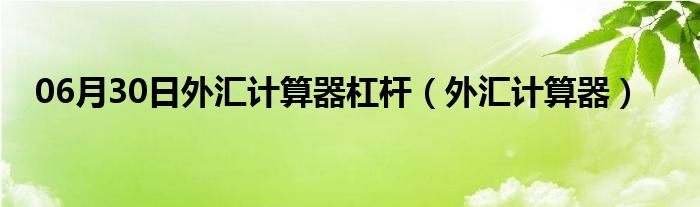 06月30日外汇计算器杠杆（外汇计算器）