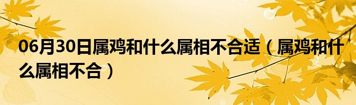 06月30日属鸡和什么属相不合适（属鸡和什么属相不合）