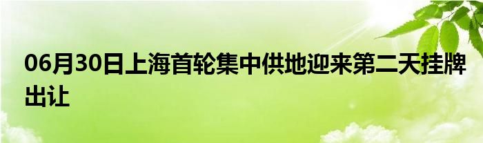 06月30日上海首轮集中供地迎来第二天挂牌出让