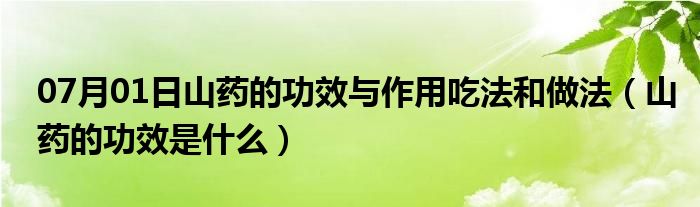 07月01日山药的功效与作用吃法和做法（山药的功效是什么）