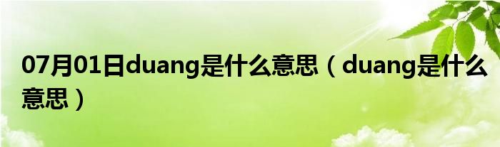 07月01日duang是什么意思（duang是什么意思）