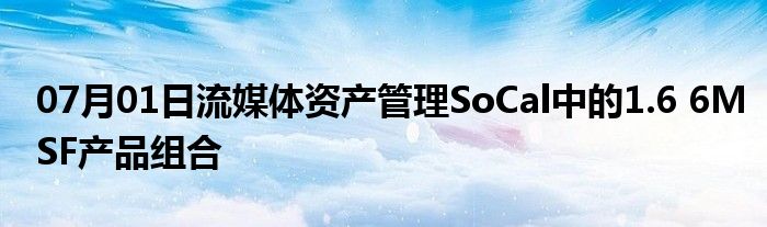 07月01日流媒体资产管理SoCal中的1.6 6MSF产品组合