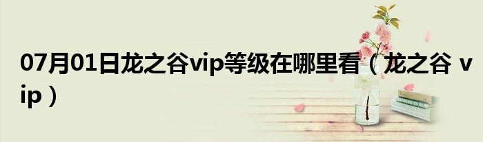 07月01日龙之谷vip等级在哪里看（龙之谷 vip）