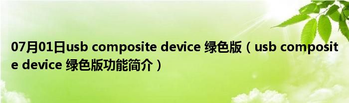 07月01日usb composite device 绿色版（usb composite device 绿色版功能简介）