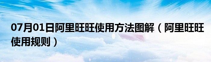 07月01日阿里旺旺使用方法图解（阿里旺旺使用规则）