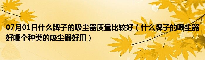 07月01日什么牌子的吸尘器质量比较好（什么牌子的吸尘器好哪个种类的吸尘器好用）