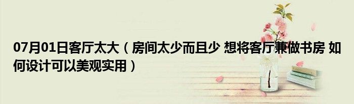 07月01日客厅太大（房间太少而且少 想将客厅兼做书房 如何设计可以美观实用）