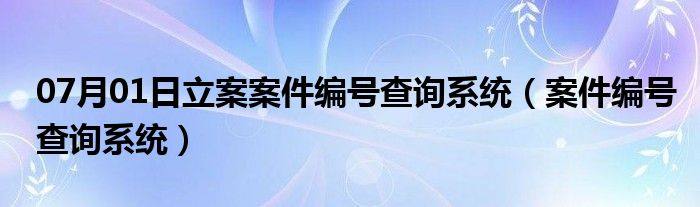 07月01日立案案件编号查询系统（案件编号查询系统）