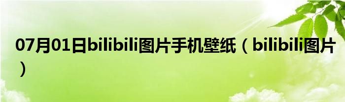 07月01日bilibili图片手机壁纸（bilibili图片）