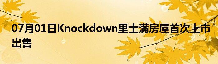 07月01日Knockdown里士满房屋首次上市出售