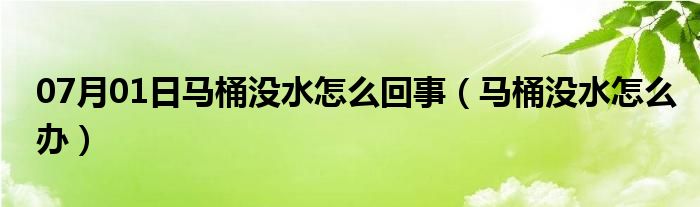 07月01日马桶没水怎么回事（马桶没水怎么办）