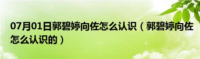 07月01日郭碧婷向佐怎么认识（郭碧婷向佐怎么认识的）