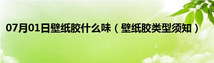 07月01日壁纸胶什么味（壁纸胶类型须知）