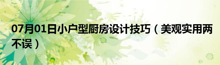 07月01日小户型厨房设计技巧（美观实用两不误）