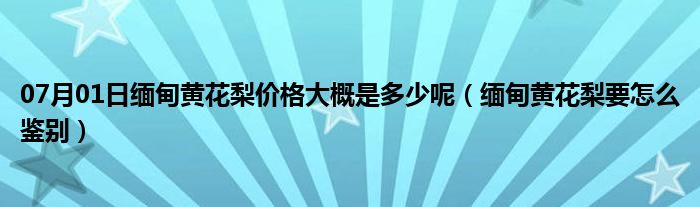 07月01日缅甸黄花梨价格大概是多少呢（缅甸黄花梨要怎么鉴别）