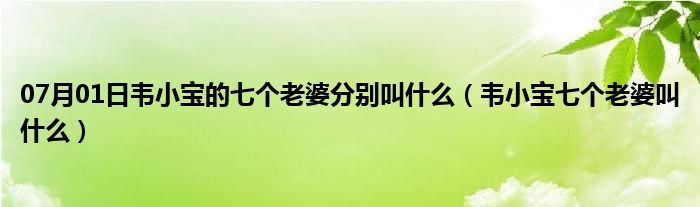 07月01日韦小宝的七个老婆分别叫什么（韦小宝七个老婆叫什么）