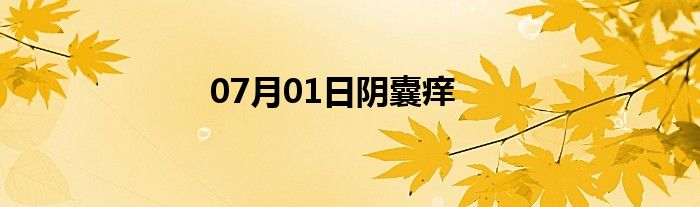 07月01日阴囊痒