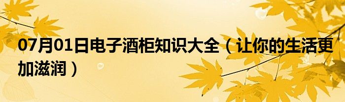 07月01日电子酒柜知识大全（让你的生活更加滋润）