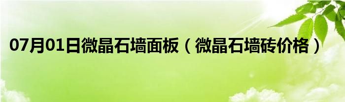 07月01日微晶石墙面板（微晶石墙砖价格）