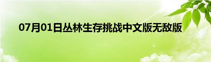 07月01日丛林生存挑战中文版无敌版