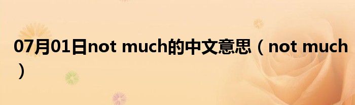 07月01日not much的中文意思（not much）