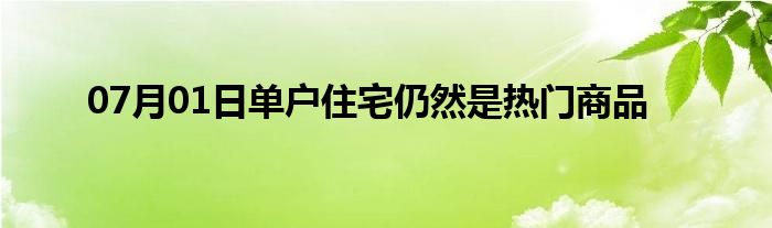 07月01日单户住宅仍然是热门商品