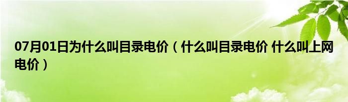 07月01日为什么叫目录电价（什么叫目录电价 什么叫上网电价）